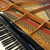 北京京珠BGP 160 A/BGP 150 A glandピアノプロ用演奏大人初心者パエルリバ150 Aホワイト