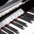 SPYKERセ爵家庭用アタッチド试験演奏縦型ピアノ全国ユニオン黒HD-L 122 G黒
