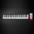 iWord诺艾61キーボードのピアノはリキウム電池を内蔵して電子のピアノのMIDIレインです。