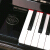 パリバ118新品縦型ピアノイド入力配置家庭用教育用ピアノプロ用のジップテープ用のテスト演奏威騰ピノPD 118 A 1
