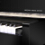パリバ京珠の真新し縦型ピアノN 118/N 121/N 123初心者成人家庭用ジップテープN 118