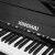 XINGHAI星海芸术家シリズ新商品123ピアノXUD-23 HLピアノファミリー用演奏家XUD-23 HL黒いピノ