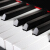 パリバ(PEARLRIVER)N-13知能静音练习妨害京珠縦型ピアノドイツプロ演奏アクトド试験共通