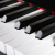 パリバBUP-233 B京珠縦型ピアノドイツプロモーション家庭教育用プロ演奏123 CM