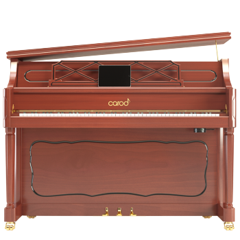 カーーロッド(CAROD)新品縦型ピアノT 1原装88鍵盤ブラドンピノT 1-Mミュートモデル