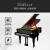 ドッツリスト(LISZT)ハイエンド立体ピアノ演奏GPシリズ入力ハーンコア88キーボード家庭用教育用プロシュート用キーボードGP-150白